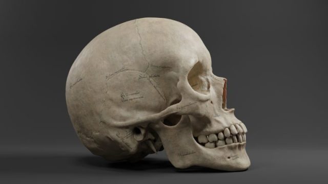 Er zou een grote verandering op komst zijn: onderzoekers doen een historische ontdekking over de menselijke evolutie