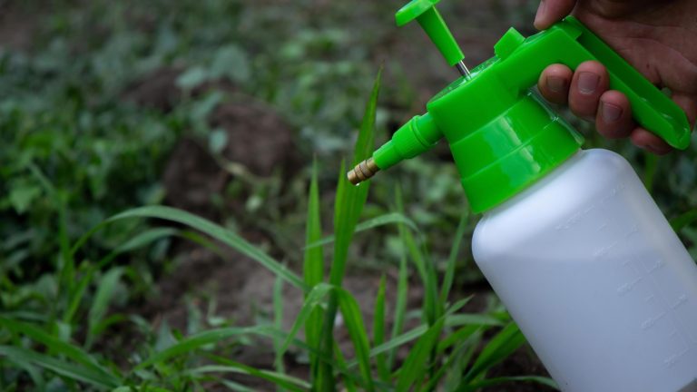 Tuinders moeten dit allemaal doen tot november: azijn op het terras of de opritten spuiten is vreemd, maar zeer effectief.
