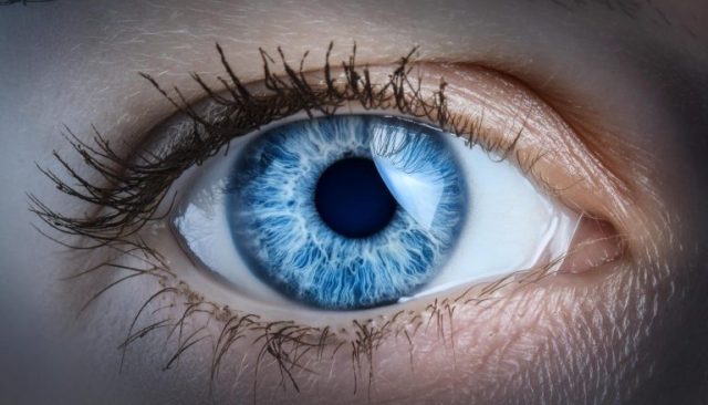 Er is niets dat blauwe ogen blauw maakt. Als we willen begrijpen waarom, moeten we onze toevlucht nemen tot de natuurkunde.