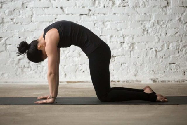 Katpositie: de yogaoefening die de nek versterkt en vaak wordt aanbevolen aan mensen met nekpijn