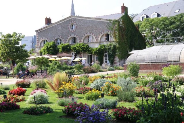 Dankzij een liefdesverhaal kan hij 2500 planten herkennen: het unieke talent van deze student