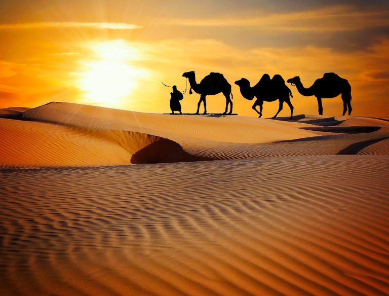 Als herders op de planeet Arrakis: mensen pasten zich aan de woestijn aan dankzij een gen dat hen hielp urine vast te houden