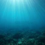 Reusachtige wezens kwamen uit de diepten van de Stille Oceaan tevoorschijn en lieten wetenschappers sprakeloos achter